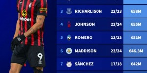 【龙八国际】热刺队史新援转会费榜：索兰克6430万欧居首，理查利森在列