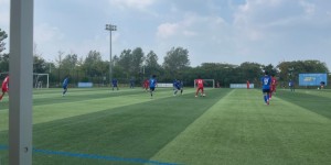 <?php the_title(); ?>