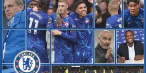 <?php the_title(); ?>