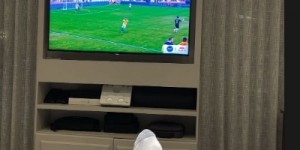 【龙八国际】传出将回归桑托斯！内马尔晒照：躺床上悠闲看比赛