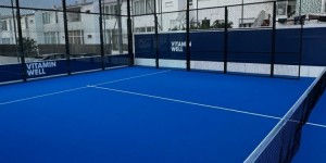 <?php the_title(); ?>