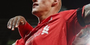 <?php the_title(); ?>