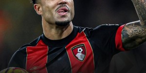 <?php the_title(); ?>