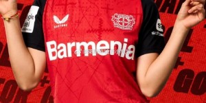 <?php the_title(); ?>