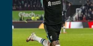 <?php the_title(); ?>