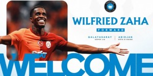 <?php the_title(); ?>