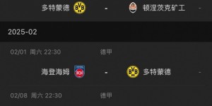 【龙八国际】官方：由于施洛特贝克对不莱梅时染红，他将停赛两场德甲