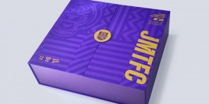 【龙八国际】天津津门虎足球俱乐部2025赛季年票发售公告