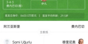 【龙八国际】近12场9胜3平！费内巴切2-0阿兰亚斯堡距榜首3分 塔利斯卡破门