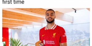 <?php the_title(); ?>