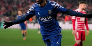 <?php the_title(); ?>