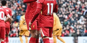 <?php the_title(); ?>