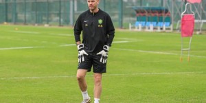 <?php the_title(); ?>