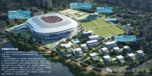 【龙八国际】记者：青岛第二座专业足球场计划今年开工，依托青岛红狮俱乐部