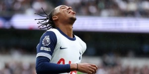 <?php the_title(); ?>