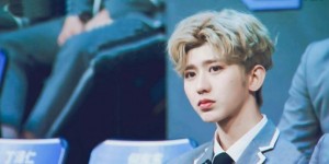 <?php the_title(); ?>