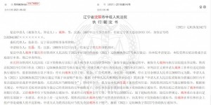 【龙八国际】戴琳2年前曾卷入民间借贷纠纷，涉案金额超千万，银行账户被冻结