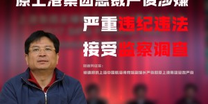 【龙八国际】被控非法收受3601万元！原上港集团总裁严俊一审开庭