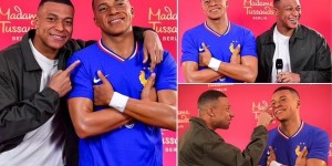 <?php the_title(); ?>