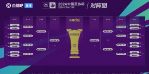 【龙八国际】徐云龙谈足协杯抽签：希望国安往前走，但说实话难度有点大