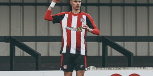 <?php the_title(); ?>