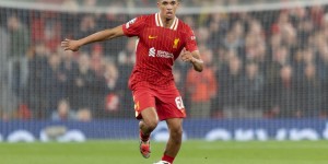 <?php the_title(); ?>