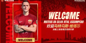 【龙八国际】记者谈海港新援：加布里埃尔便宜但战术价值大 维塔尔30万欧水平