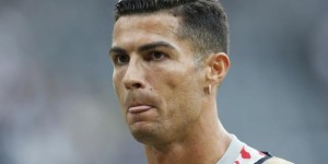 <?php the_title(); ?>