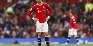 <?php the_title(); ?>