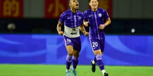 【龙八国际】津媒：罗萨肩伤比较麻烦，安杜哈尔小腿肌肉有痛感问题不太严重