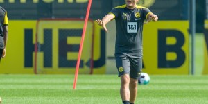 【龙八国际】恢复迅速！多特主帅：罗伊斯有望在下周逐渐开始合练