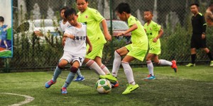 <?php the_title(); ?>