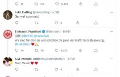 【龙八国际】阿莱检查出睾丸肿瘤，拜仁、阿贾克斯、西汉姆等队祝他早日康复