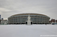 【龙八国际】北京下雪啦#今日工体❄️⛄️?