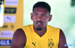 【龙八国际】德媒：多特新援阿莱将因睾丸肿瘤而无限期休战