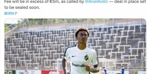 【龙八国际】罗马诺：拜仁引进16岁瑞典前锋阿萨雷达协议，转会费超500万欧