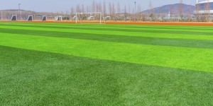 【龙八国际】广东省足球产业研究报告：广东省共有足球场地1.16万个居全国第一