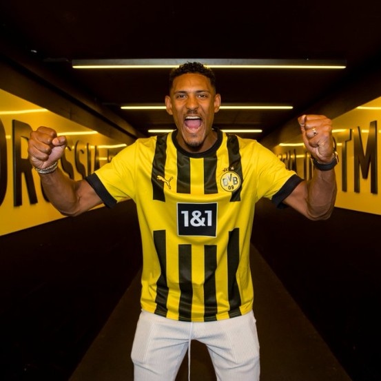 【评头论足】被专家质疑的进球机器,你看好阿莱在多特的表现吗?