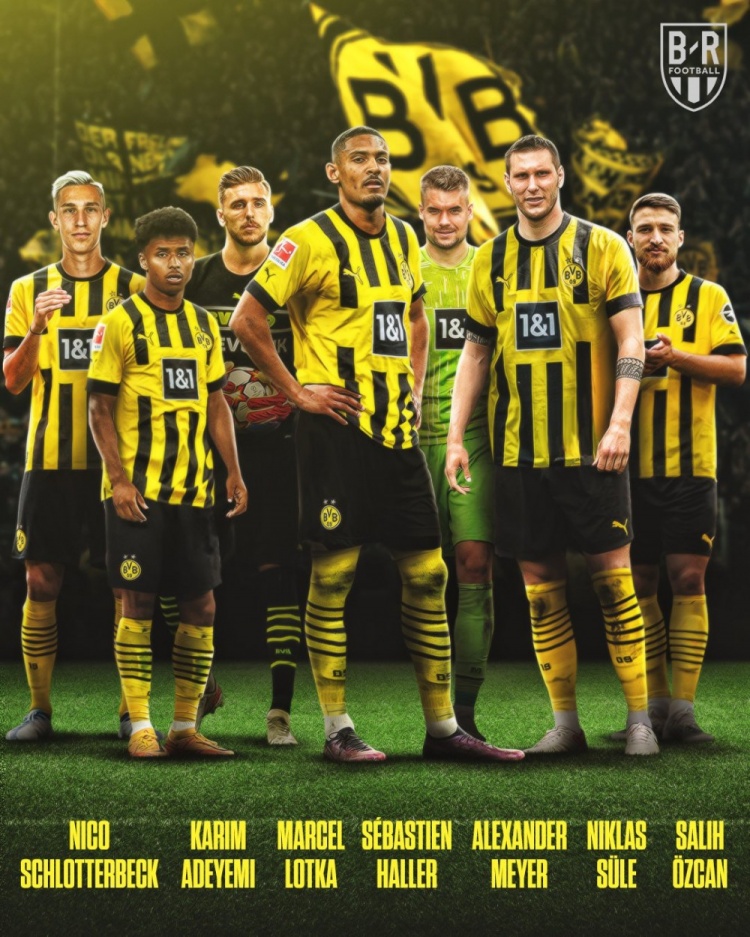 再来一个!阿莱加盟多特,大黄蜂今夏已签7人✍?