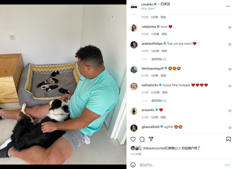 大罗和他的小狗!大罗晒爱犬产仔图:感谢给我带来6个孙子和孙女