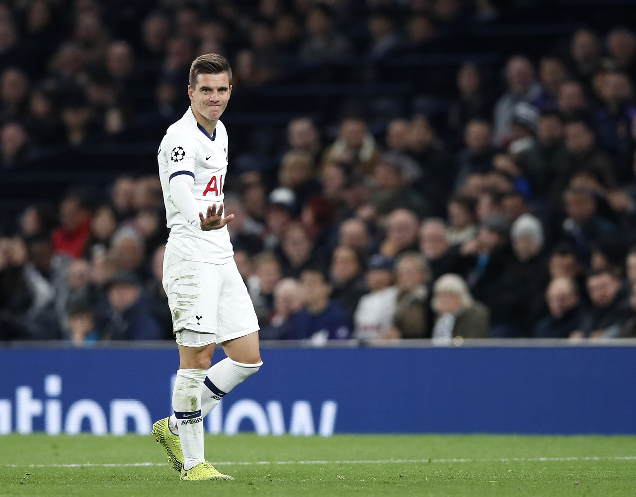 佩杜拉:那不勒斯有意引进洛塞尔索,已经与热刺有过接触