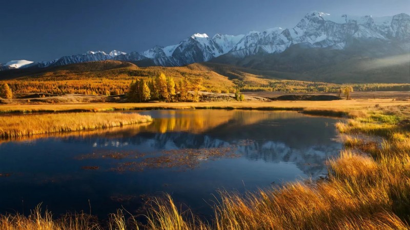 如果要去中职院校就读,应该怎么选择专业?