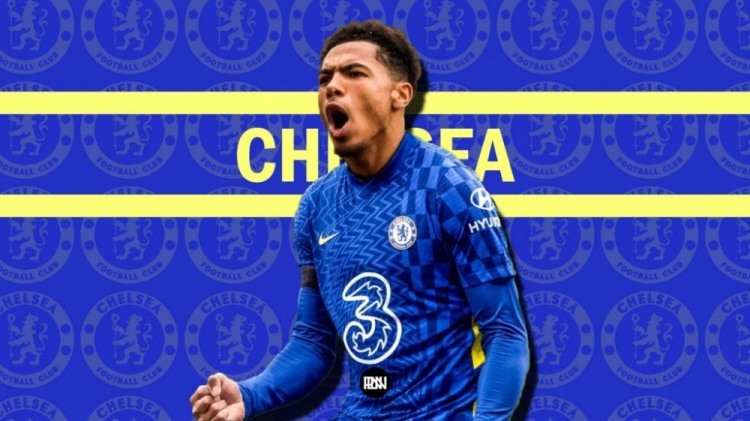 记者:科尔维尔转会费2000万-2500万镑,回购费4000万-4500万镑