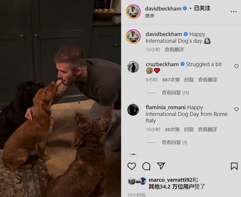 ?不止场上能喂饼!小贝用嘴亲自给狗子喂饼,温情满满