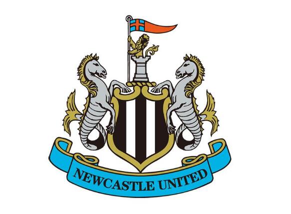 记者:纽卡12月将前往沙特,参加对阵利雅得新月的友谊赛