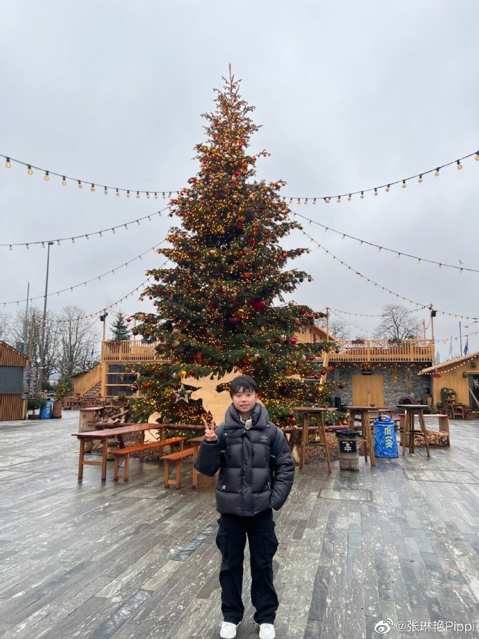 节日氛围满满!张琳艳晒苏黎世街景照并与圣诞树合影