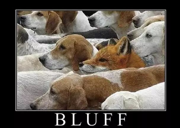 【EV扑克】教学:如何判断一个牌面是否适合用来诈唬