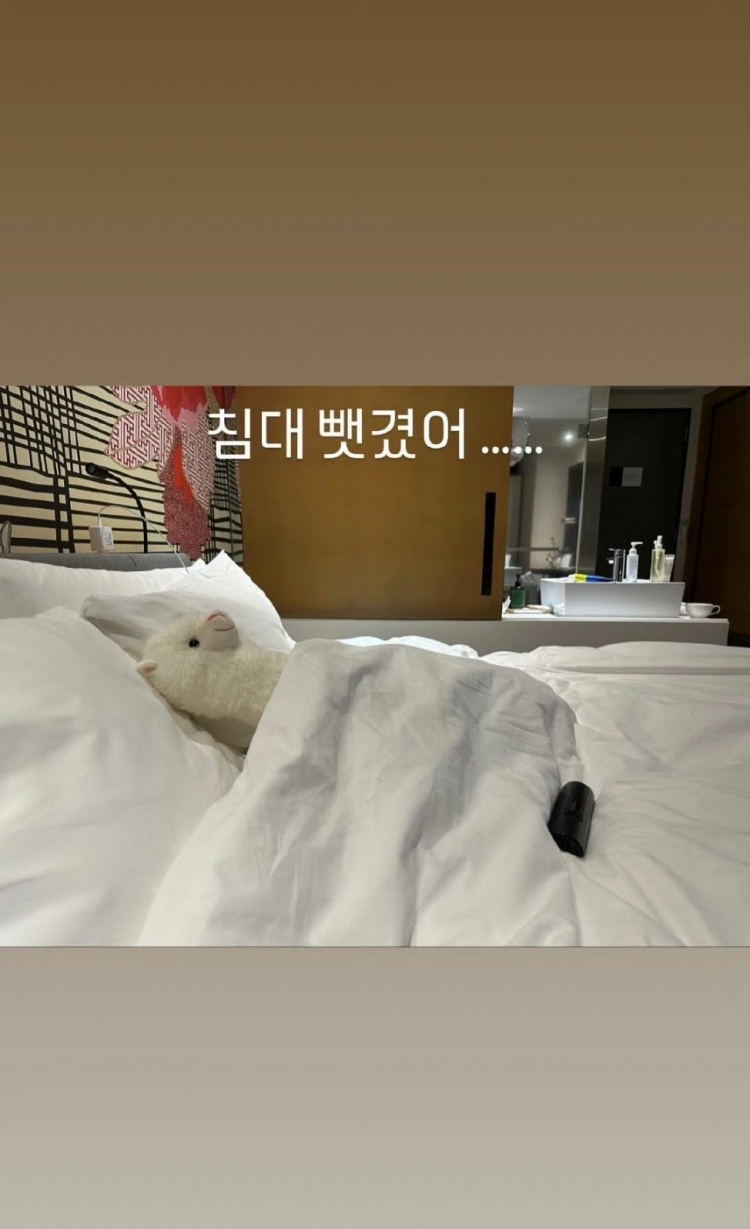 ShowMaker更新ins整活：床被羊驼抢了