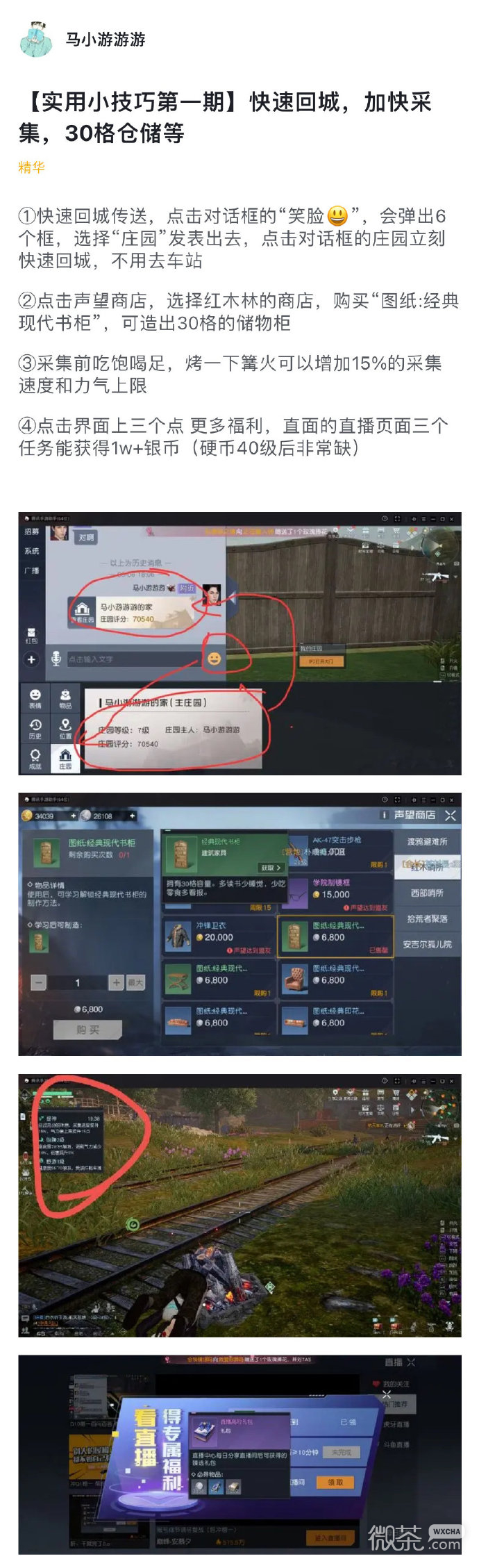 《黎明觉醒》生机实用小技巧攻略