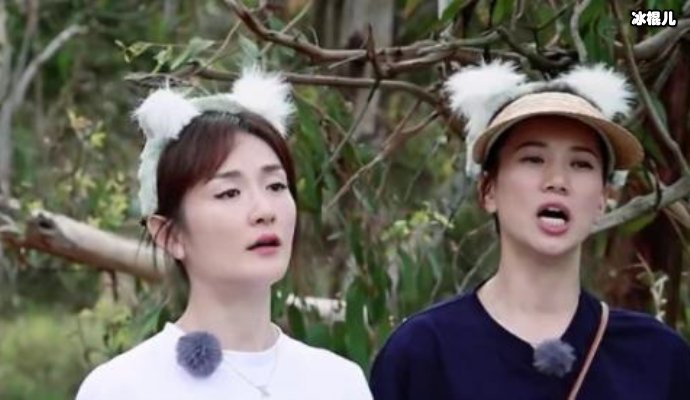 袁咏仪买包怕不能进家门,感情甜蜜令人羡慕神仙婚姻状态